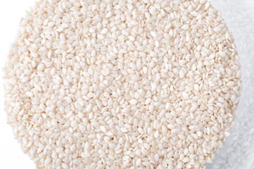 white Sesame close up shot on white background.