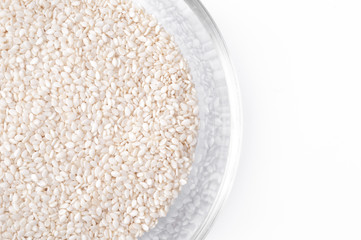 white Sesame close up shot on white background.