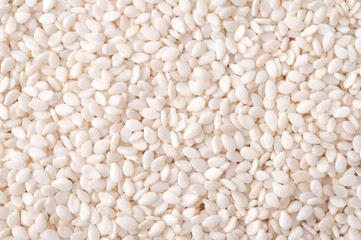 white Sesame close up shot on white background.