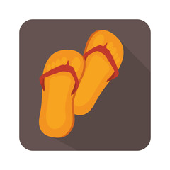flip flops isolated icon vector illustration design
