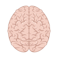 brain storming isolated icon vector illustration design