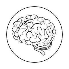 brain storming isolated icon vector illustration design