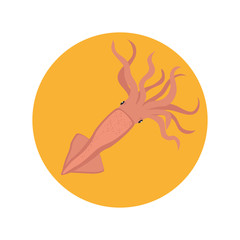 octopus animal isolated icon vector illustration design