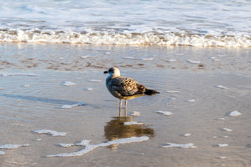 Ostsee