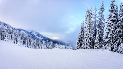 Ski Slopes and a Winter Landscape with Snow Covered Trees on the Ski Hills near the village of Sun Peaks in the Shuswap Highlands of central British Columbia, Canada