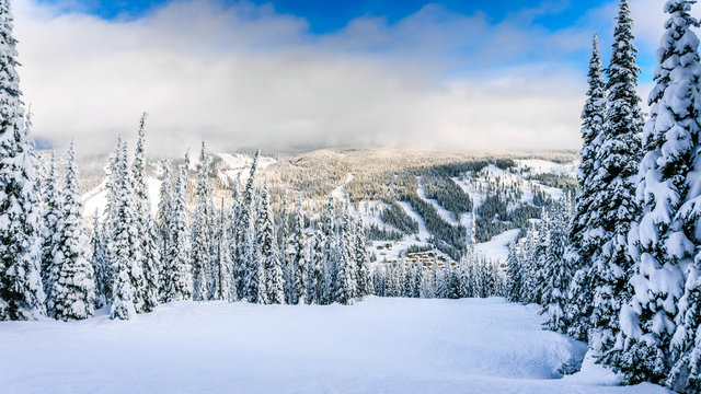 Ski Slopes and a Winter Landscape with Snow Covered Trees on the Ski Hills near the village of Sun Peaks in the Shuswap Highlands of central British Columbia, Canada