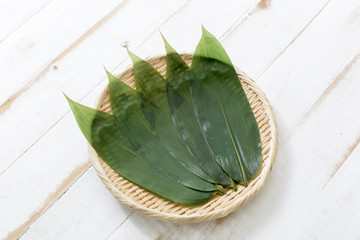 Fototapeta premium 笹の葉