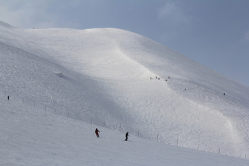 ニセコスキー場