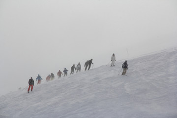 ニセコスキー場