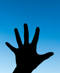 Palm Hand Hi Five Hi5 Five 5 Fingers in Blue Sky Background