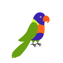 Rainbow Lorikeet bird in Australia