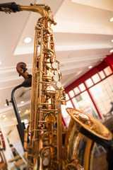 Golden saxophone show in the shop