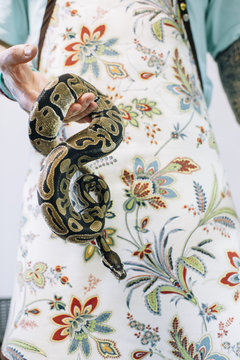 Man dressed in apron holding snake