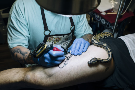 Tattoo master with snake