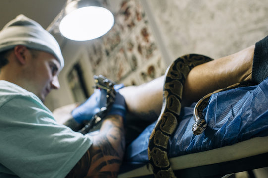 Snake is on leg while tattoo procedure
