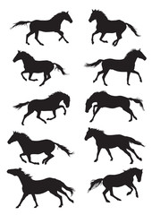 Set of vector horses silouettes