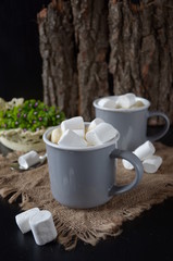 Obraz na płótnie Canvas Chocolate shake with dripping sauce and marshmallows