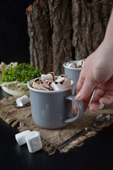 Chocolate shake with dripping sauce and marshmallows