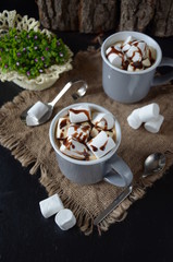 Chocolate shake with dripping sauce and marshmallows