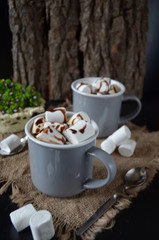Chocolate shake with dripping sauce and marshmallows