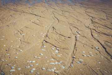 Beautiful sand on the beach with lines from the tide, New Zealand, Abel Tasman National Park