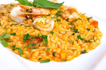 Tasty risotto with Shrimp, fresh herbs vegetables on a white pla