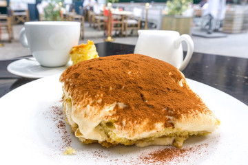 Classical Dessert homemade Tiramisu Cake