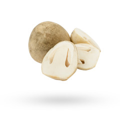 Volvariella volvacea, Straw Mushroom on white background..