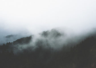 Watching the Fog Roll In