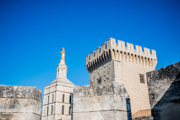 Notre-Dame -des-Doms et Cité des papes à Avignon