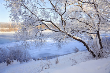 Nature in a clear frosty day. Snow, trees covered with frost. Blue sky. Tree over the river. 
The ice on the river. Place for text. Wallpapers, calendar, picture, illustration, printing