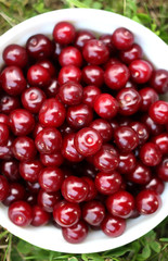 Fresh ripe cherries