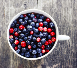 Ripe fresh blueberry and cranberry in the small cup