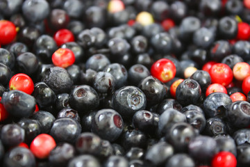 Cranberries and blueberries