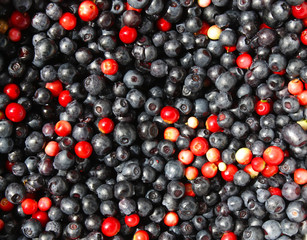 Cranberries and blueberries