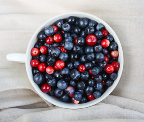 Ripe fresh blueberry and cranberry