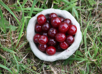 Fresh ripe cherries in handmade clay cup