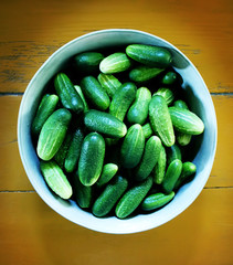 Fresh ripe cucumbers