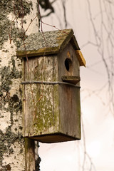 Birdhouse in forest.