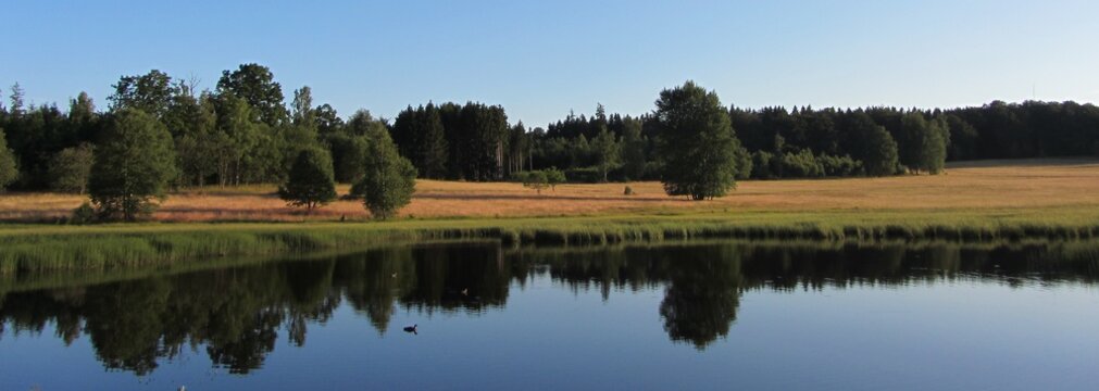 Abendstimmung am See, B&uuml;me spiegeln sich im Wasser, Weiherwiesen Essingen