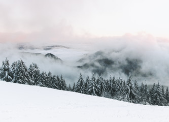 Sea of Clouds