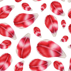 Handwork watercolor seamless pattern with red tulip petal isolated on white background. .Botanical illustration - 133282115