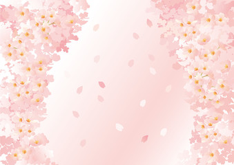 春桜の トンネル