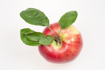Red apple