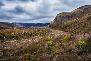 Fototapeta na wymiar Majestic view of Tongariro national park