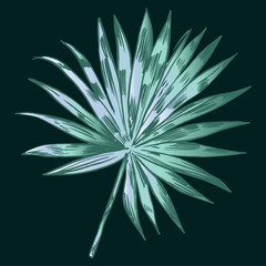 Exotic flowers set. Botanical vector vintage illustration.