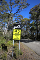 Warnschild in Tasmanien
