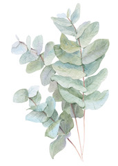 watercolor illustration leaves - 133287148