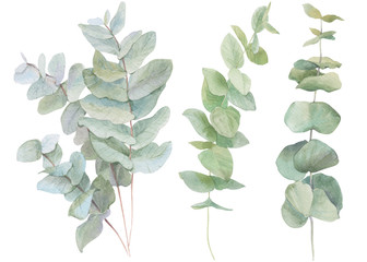watercolor illustration leaves