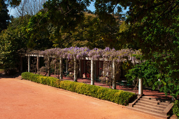 Porto, 27/03/2012: i giardini della Fondazione Serralves, una delle più importanti istituzioni culturali del Portogallo con il suo parco, esempio di Modernismo e Art Deco